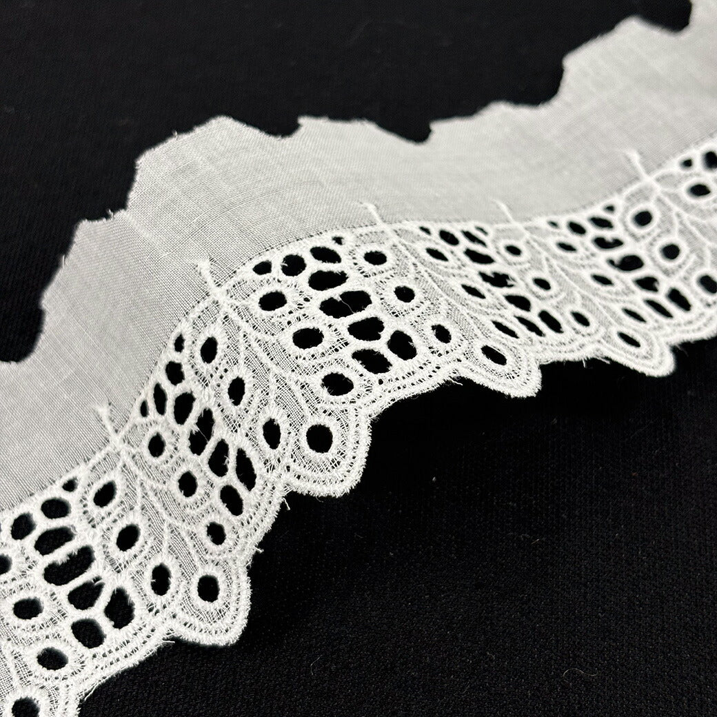 リボン【 レース 13273 】レースリボン 刺繍リボン 花柄 花柄刺繍 レース刺繍 刺繍テープ 綿レース ハンドメイド資材 可愛い 手芸用テープ リボンテープ 洋裁 ハンドメイド 手芸用 パーツ 布雑貨 副材 手芸副材 フリル Textile World TOA