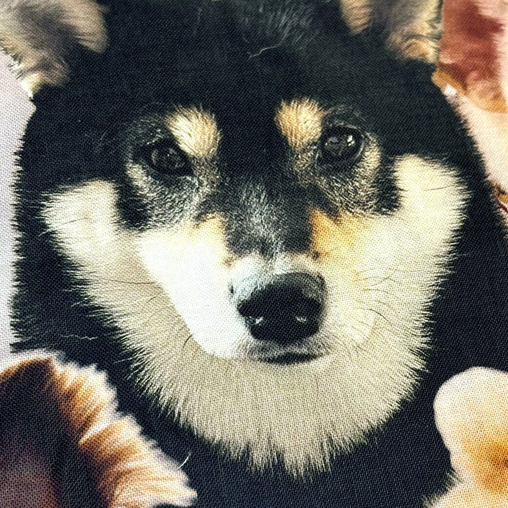 生地 【 インクジェットプリント 犬 】 シーチング シーチング生地 インクジェットプリント デジタルプリント イヌ リアルドッグ 写真 綿100% コットン バッグ ポーチ クッションカバー 風呂敷 タペストリー ディスプレ