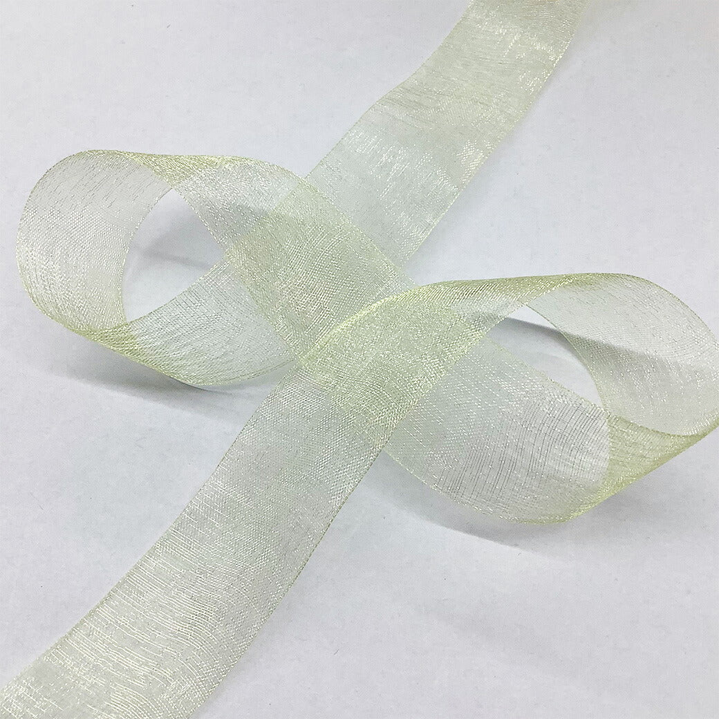リボン 【 MOKUBA オーガンジーリボン 25mm 26色 】 リボン オーガンジー オーガンジーリボン オーガンジーテープ 光沢 定番リボン 手芸リボン コスプレ クリスマス クリスマスリボン お遊戯会 発表会 ドレス アクセサリー ハロウィン 仮装 衣装 手芸用品 Textile world TOA