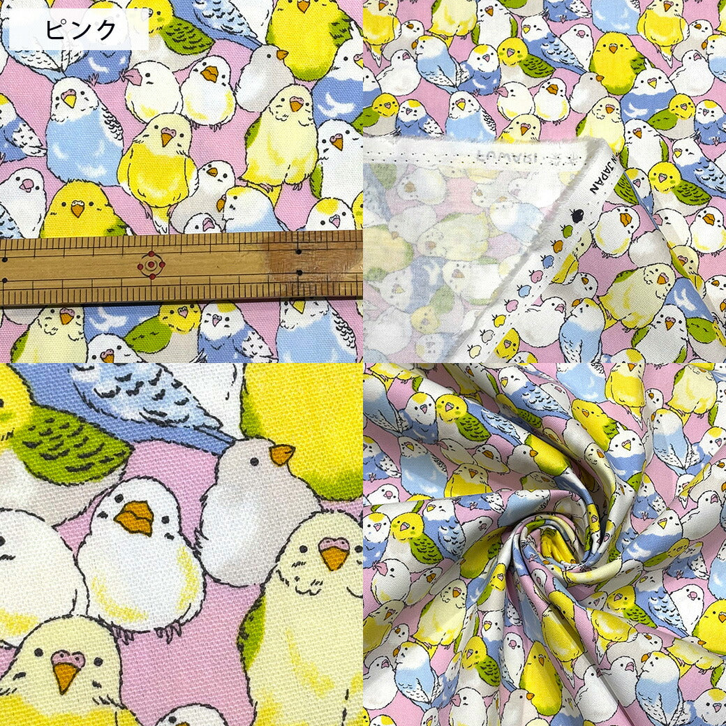 生地 【 オックスフォード インコ 3色 】 オックス生地 インコ 文鳥 112cm巾 綿100% コットン 丈夫 バッグ ポーチ クッションカバー エプロン レッスンバック 巾着 ランチョンマット インテリア雑貨 ハンドメイド 手芸 入園 入学 新学期準備 Textile World TOA