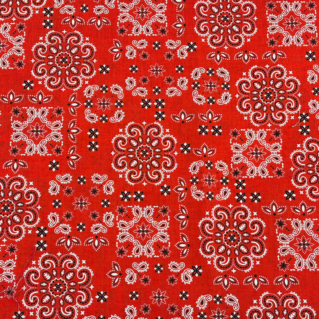 ペイズリープリント生地