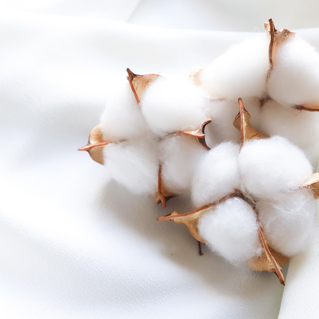 綿花＆コットン生地