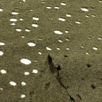 【 ランダム穴あき 水ビ カーキ】 130cm巾 ウール混生地 ウールナイロン生地 デザイン生地
