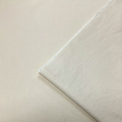 生地 【 スーピマコットンウォッシュドツイル 生成 】 スーピマコットン ウォッシュドツイル ツイルウォッシュ ツイル生地 ツイル 綿生地 綿 コットン 綿素材 コットン生地 カジュアル ジャケット パンツ バッグ 無地 ナチュラル ベビー用品 アパレル Textile World TOA