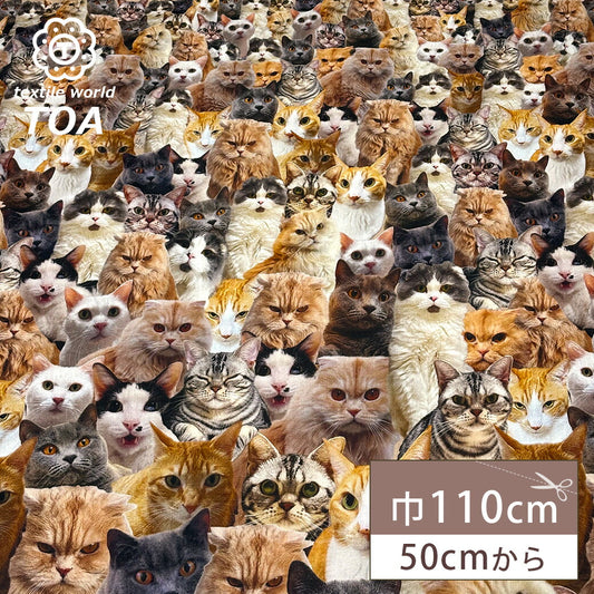 生地 【 インクジェットプリント ネコ 】 シーチング シーチング生地 インクジェットプリント デジタルプリント 猫 リアルキャット 写真 綿100％ コットン バッグ ポーチ クッションカバー 風呂敷 タペストリー ディスプ