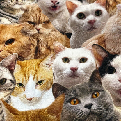 生地 【 インクジェットプリント ネコ 】 シーチング シーチング生地 インクジェットプリント デジタルプリント 猫 リアルキャット 写真 綿100％ コットン バッグ ポーチ クッションカバー 風呂敷 タペストリー ディスプ