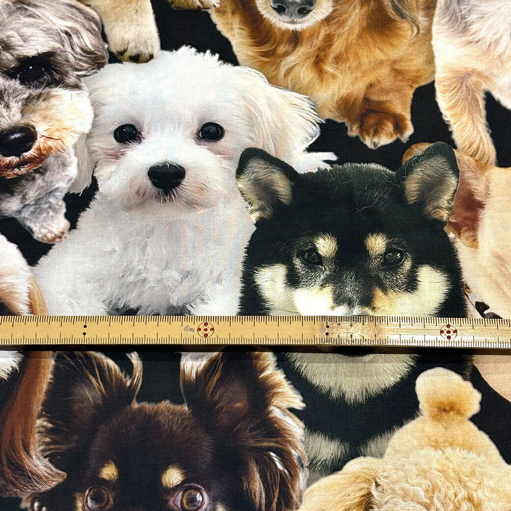 生地 【 インクジェットプリント 犬 】 シーチング 巾110 cm 綿100