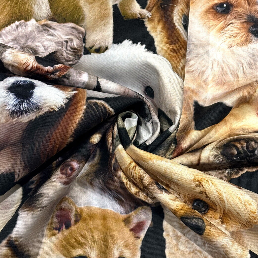 生地 【 インクジェットプリント 犬 】 シーチング 巾110 cm 綿100