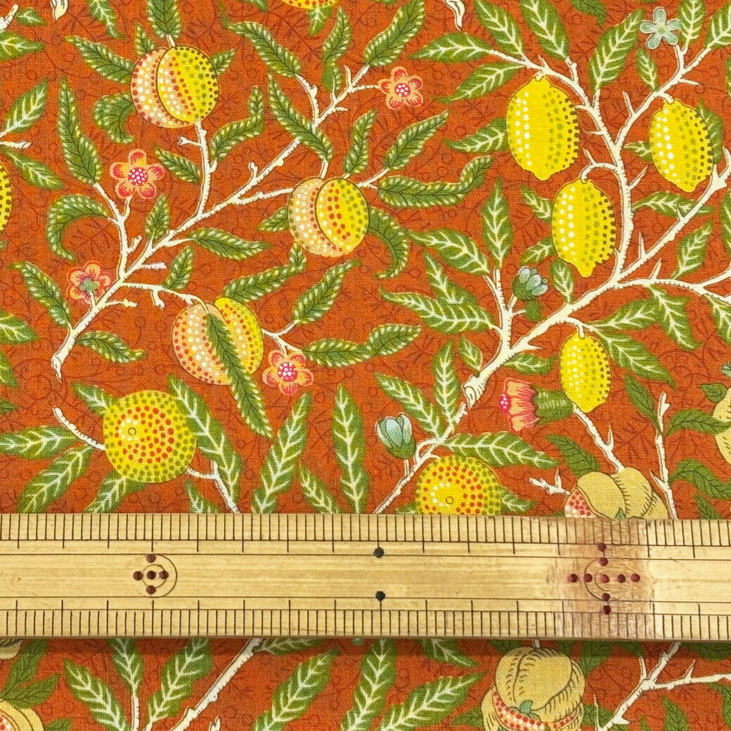 生地 【 V&A Fabric Collection フルーツ ヴィンテージオレンジ 】 シーチング 110cm巾 コットン 綿100％ 薄手
