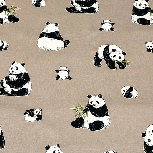 パンダ柄オックス