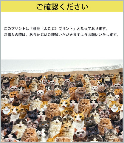 生地 【 インクジェットプリント ネコ 】 シーチング シーチング生地 インクジェットプリント デジタルプリント 猫 リアルキャット 写真 綿100％ コットン バッグ ポーチ クッションカバー 風呂敷 タペストリー ディスプ